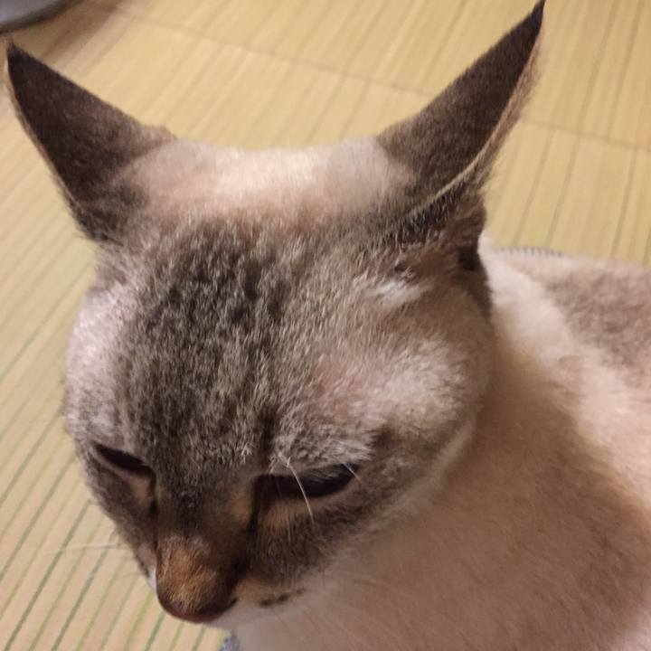 E190bcf9 6751 4ef0 a058 6a0c28a57bfc 1535629496028