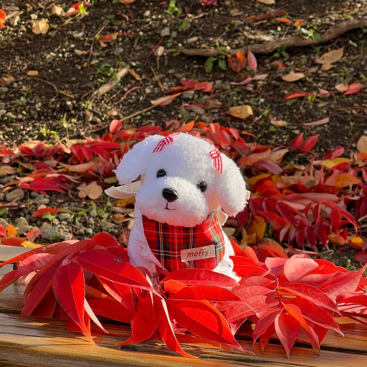 E190ce55 ebc8 4c64 9030 c7e98c8bb317 1764310806228