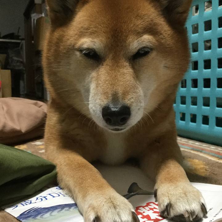 E190e38e 1198 460c b921 7355e145177a 1553160451010