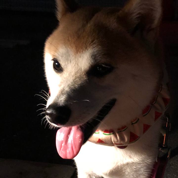 E190f81e 640b 4cdf b26b ef2145752c16 1535147912082