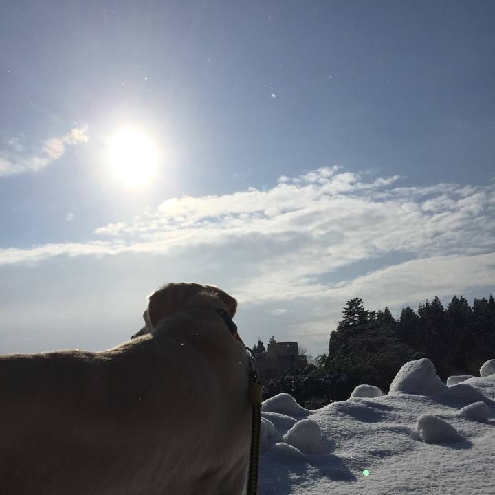 E1917312 f866 4062 89d6 1d1d20ba0ffa 1513734185944