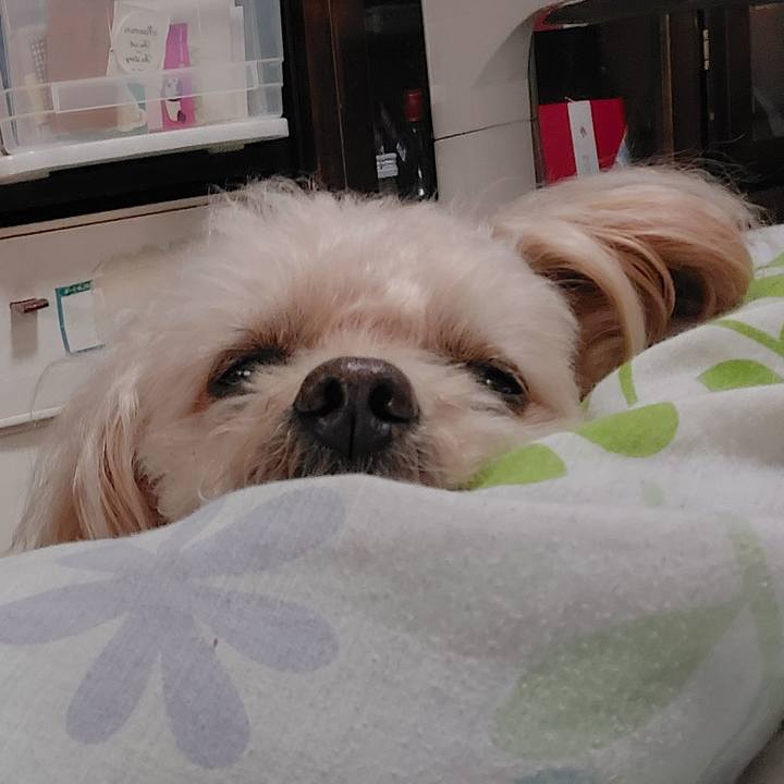 E19174fc 617f 40e4 be09 2317119ad725 1714869265848