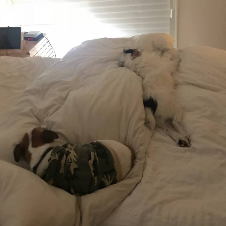 E191865b 6b86 4e7d bd98 0d2bdc1bcc4c 1531493873085