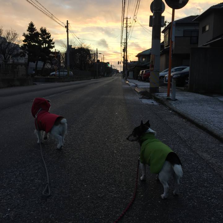 E191b894 cb4a 4aa7 a69d e1b3c1e85331 1513557499766