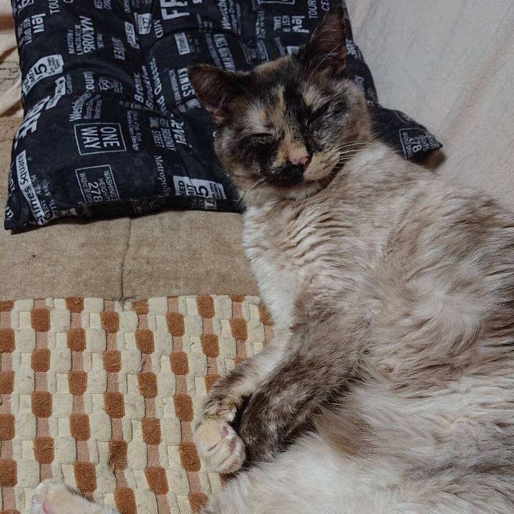 E19223ad 2be2 405d 8066 862a0ffeac45 1560957320467