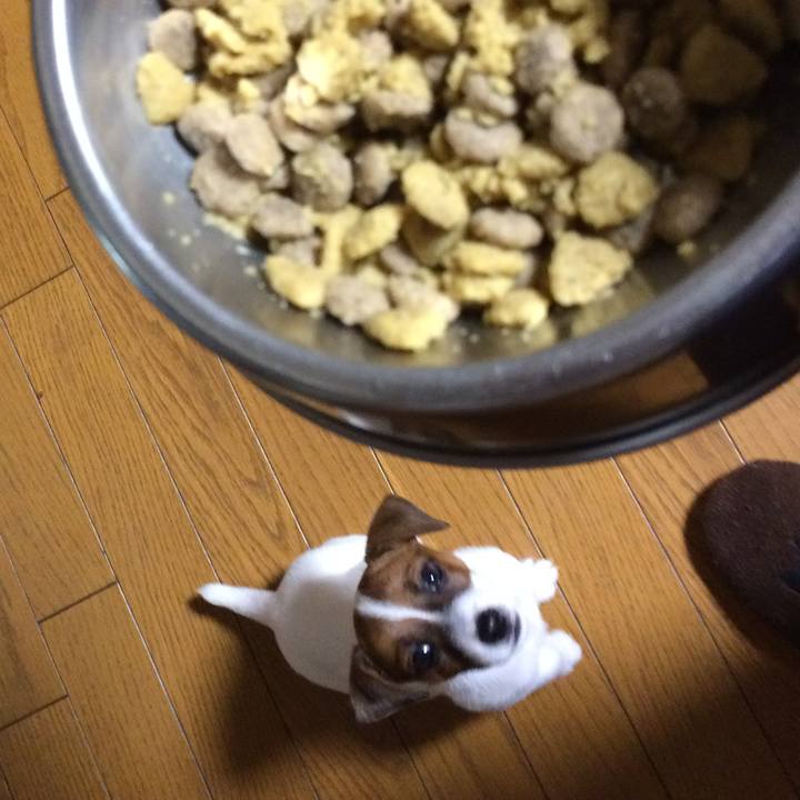 E1926466 4ca3 4c0e ba43 42e336a7c57a 1510531262111