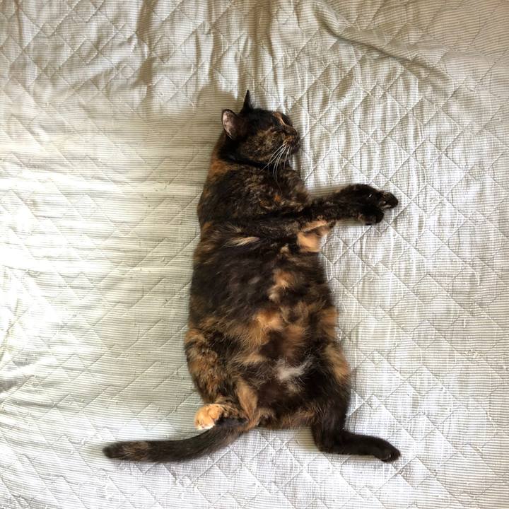 E19269c8 229f 4779 8f08 4efed8edad71 1596705119385