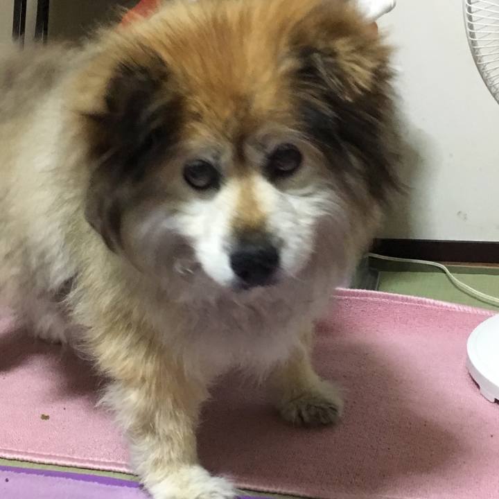 E19275c4 3031 4bb3 bd0d 4ac668fffb84 1583723950019