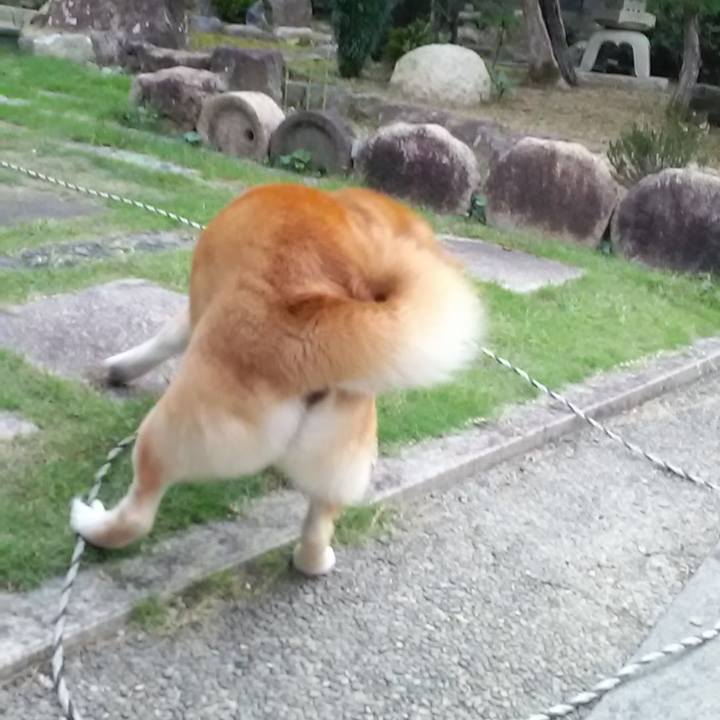 E1928cee c067 4d71 b24f 42a582919f18 1602028292340