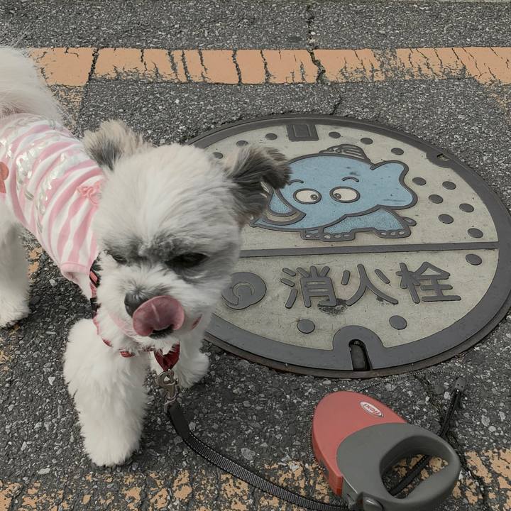 E192a487 2ad0 40d7 9549 ea99ce48923a 1561161678407