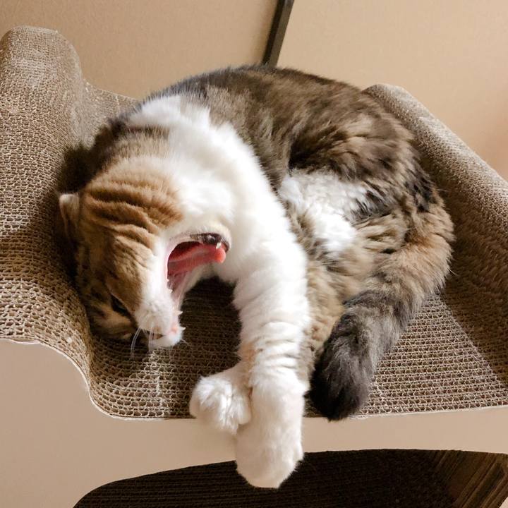 E192e297 02c8 4731 a1ff 2ba1665edf9b 1566649595821