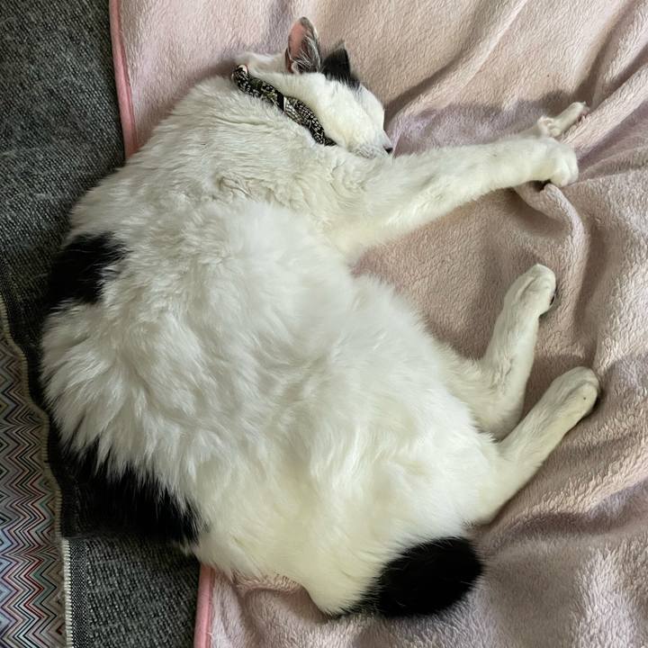 E1932862 fe9f 49b7 85df 1afe4e1bcad2 1702266933427