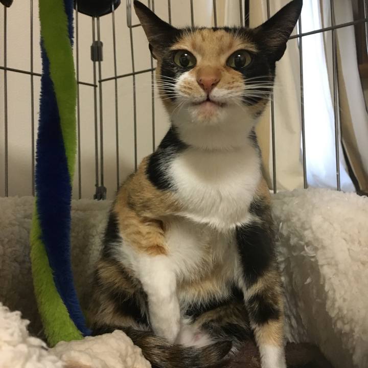 E19392db 1c57 4f06 a6d5 1f3eb9b56005 1515561889708