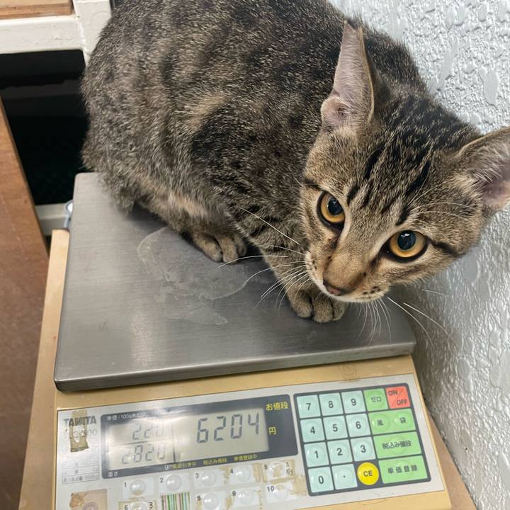 E1939625 a2f1 4ef5 9b38 8648cff39e34 1727274879428