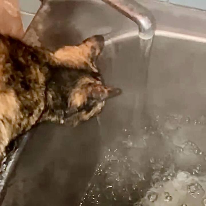 E193cb83 9759 4227 afd9 fee6cee65c2f 1742070626280