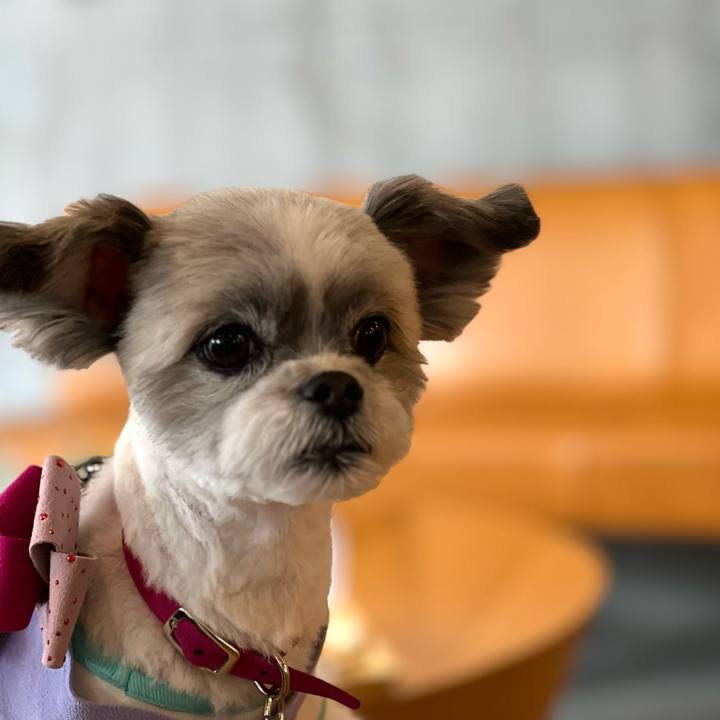 E193dd3d ea0b 4324 9fa6 12fadf28a4a1 1683193483448