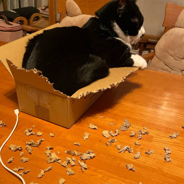 E19401bd 8775 4a60 bc37 8902f6f1b5ff 1708527679424