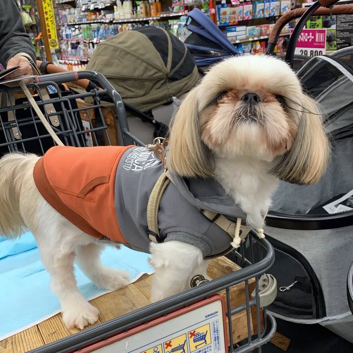 E1941304 d7bc 4b01 a7b9 4769c21686b9 1667043200996