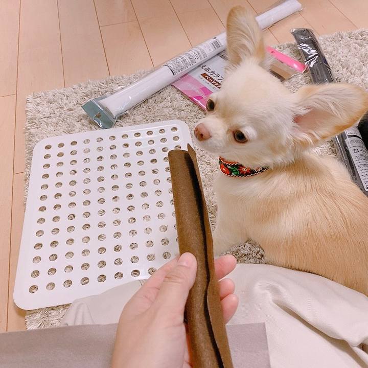 E19427aa 3037 45fb a0ec 9784b356e2cb 1629030751932