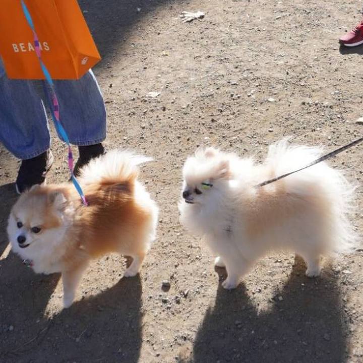 E1948666 a007 4967 bc27 720b5e29a355 1606546434329