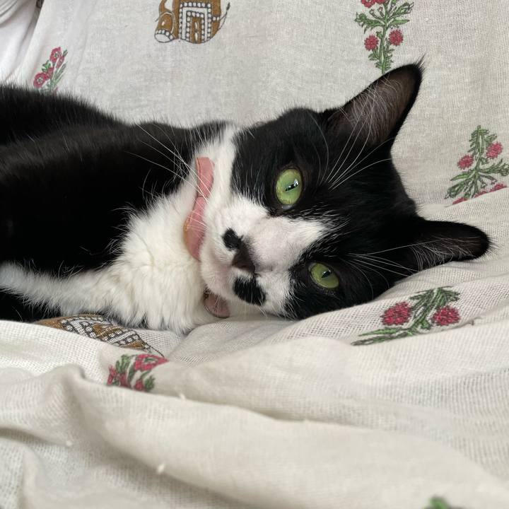 E194b7de c7d4 45e8 b07b 9c2fc3643c51 1756335174781