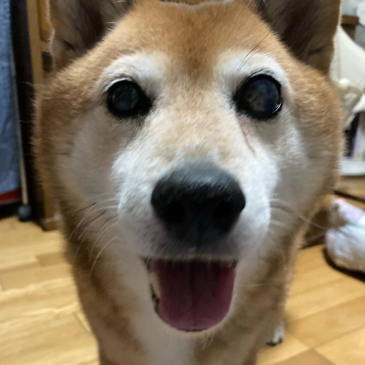 E1950407 2214 4e7b 94e9 2d176b27c492 1658314732237