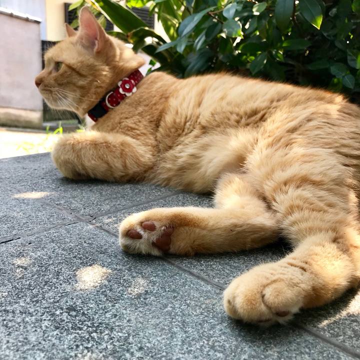 E195086f 5be3 4bd8 b8e9 456cfbb8d49c 1533373326441