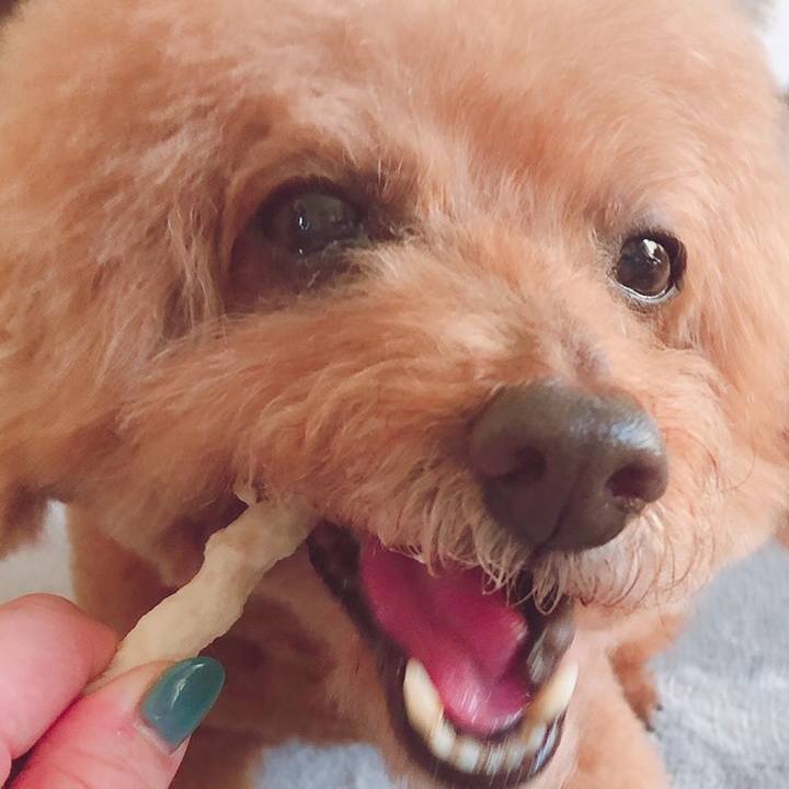 E1953a10 cbb7 46d7 9b5e 98c14ab9b0a0 1553083562900