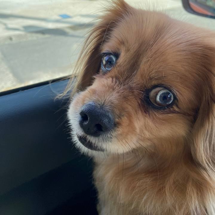 E1953d40 d9d2 4d4c b181 c774095706a6 1646534883068