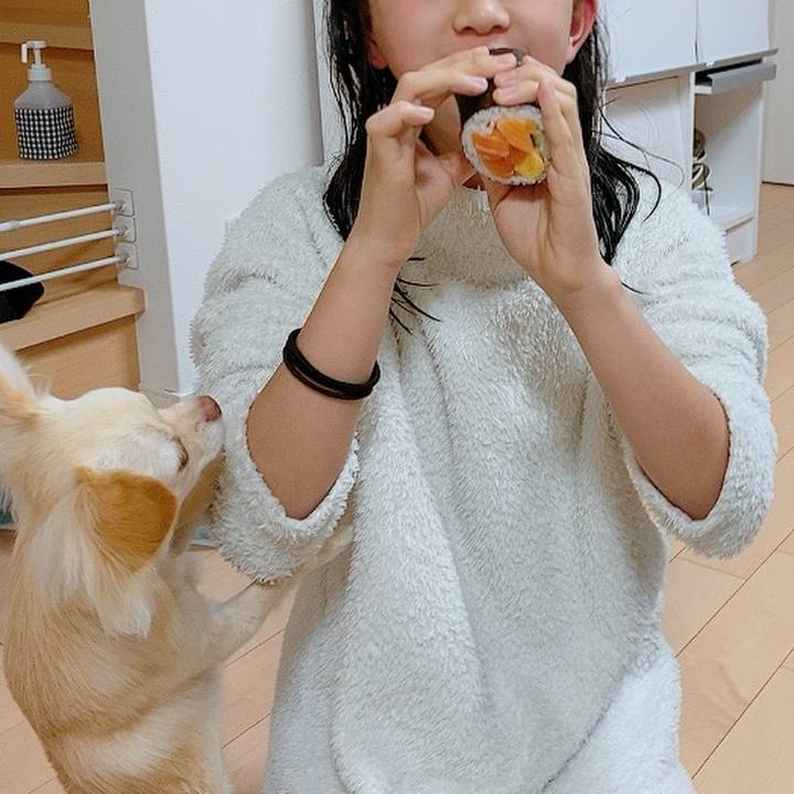 E195803f 0620 4763 ad6d 9d5205b67028 1612274713501