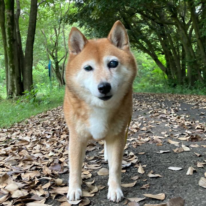 E195e22c d65b 47bc 86de 3a07c531f2f7 1657081239722