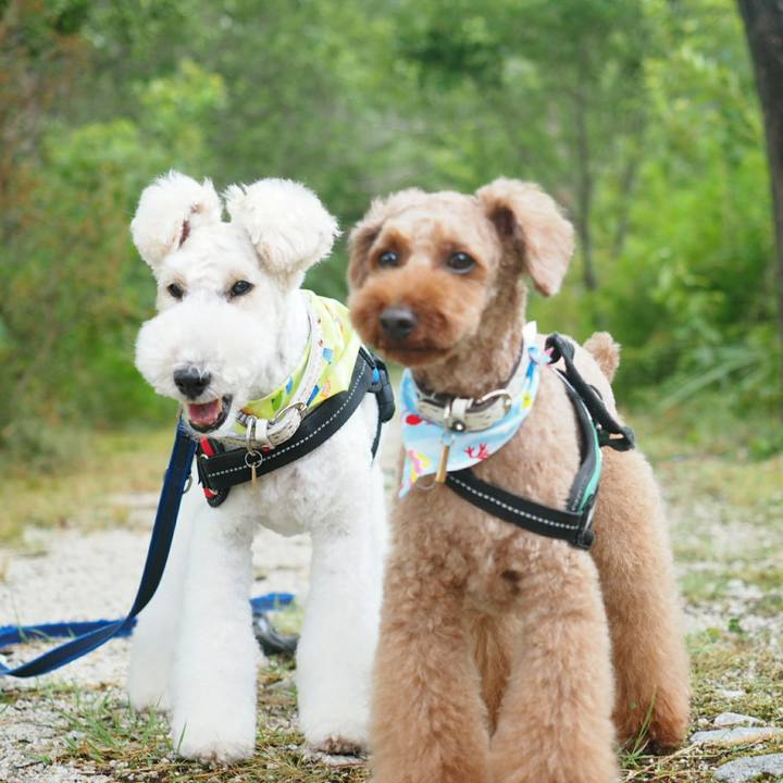 E1961fb8 4287 414d b356 ed4908a3a950 1532819130765