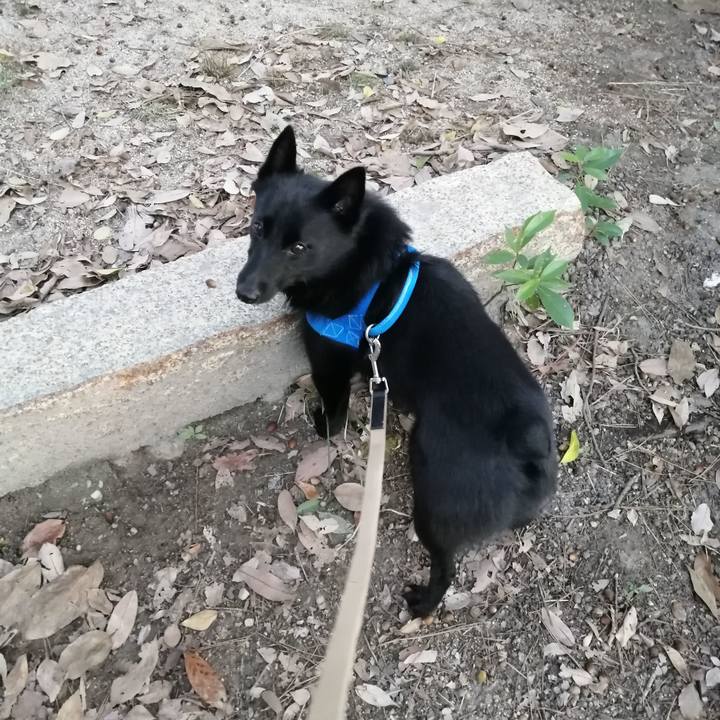 E196516e 16b3 4ba2 9f55 edbd8546c29f 1605045248819