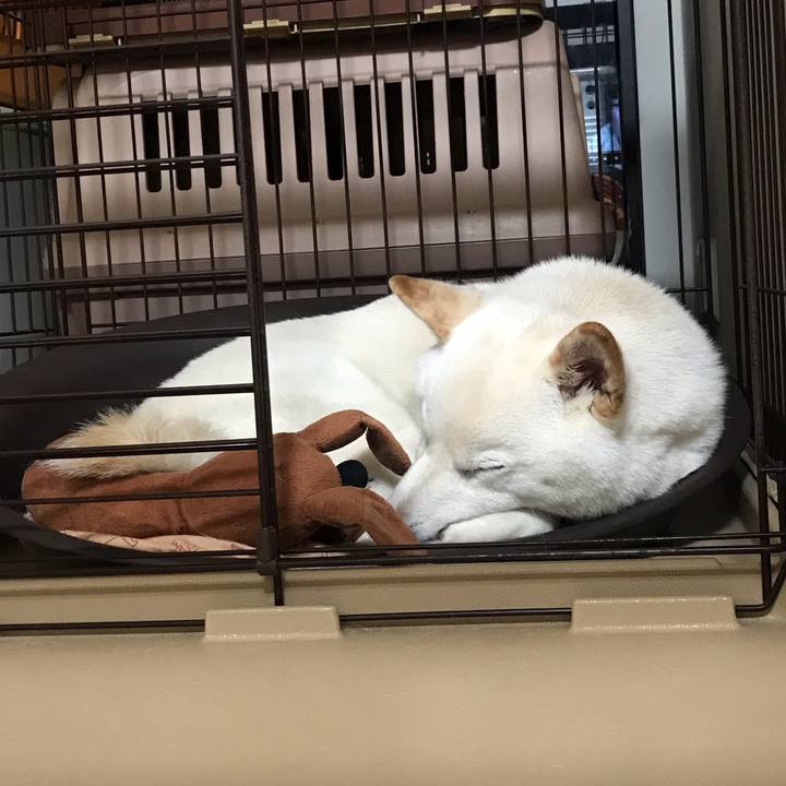 E1968693 1777 465a 8352 20bdc3e4f62f 1556631539022