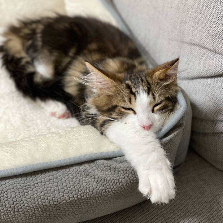 E196f40b 5790 45ae 9c9e 6dd3919a95e1 1633949484904