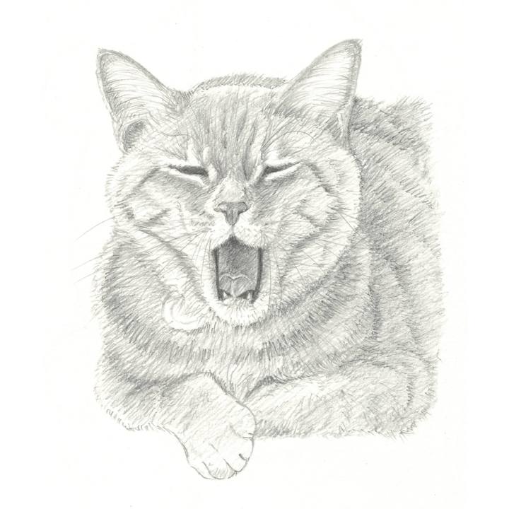 E19719c1 6214 40d1 882e 2284b81b09cb 1538831911614