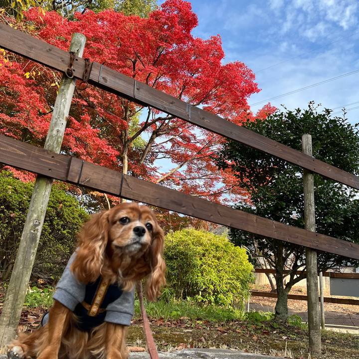 E1972a07 c6ba 4420 8b49 6e5fa35f14bf 1700706577165