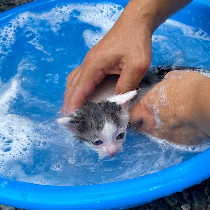 E1973295 c721 4340 af4c d7295dda7ca5 1756014375893