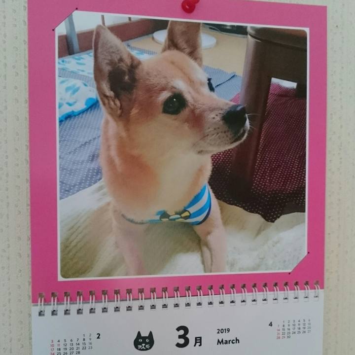 E1979acc 3f4b 494a 8b49 d991ae033343 1552664589266