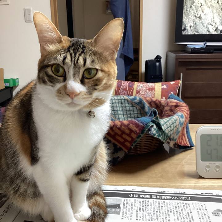 E197b6d4 3459 435d 90a9 8960f3a1abb2 1678399917496