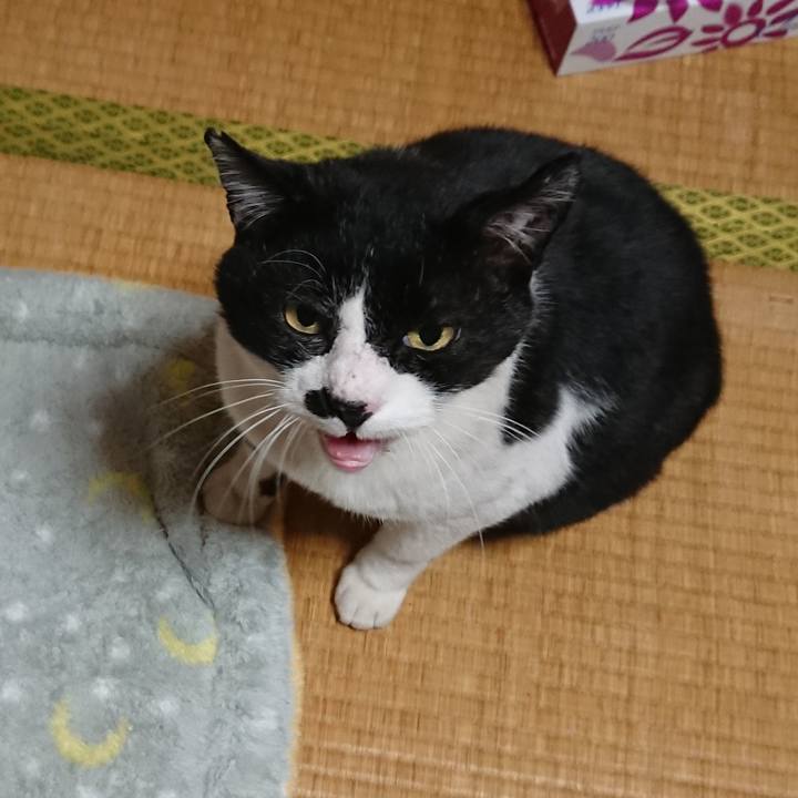 E197bf5f 0de5 4d9d ab9f 089252aa335b 1574307245026