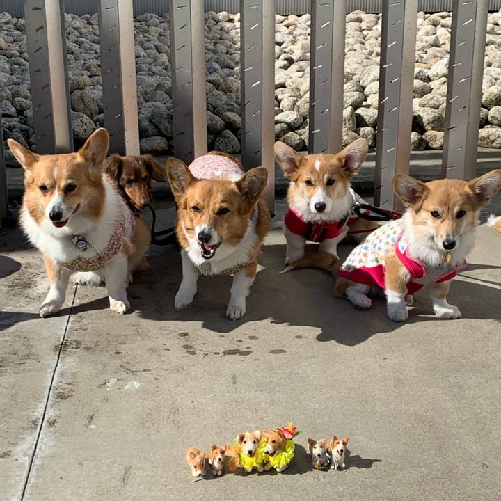 E197d181 2b27 4e84 9a1b b9d5d984aef8 1582522048709