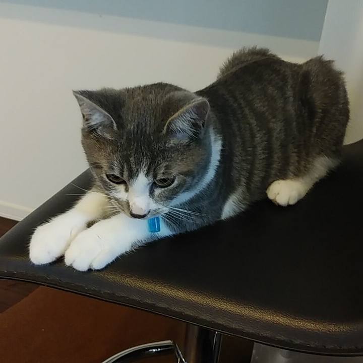 E197e26a a79b 421b b0bb f15259524571 1567983142692