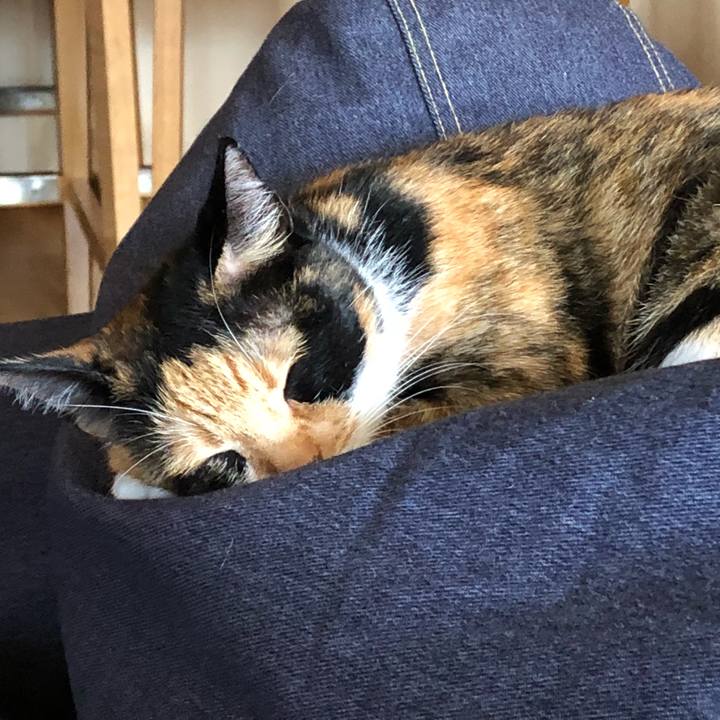 E197ebd1 0c62 4a6d b855 d5996d01547a 1538961194441