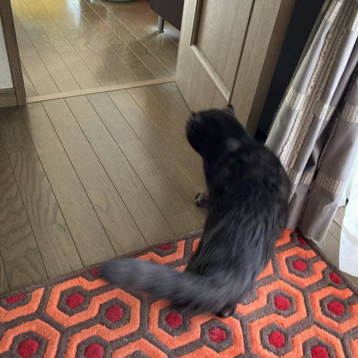 E197ee90 27a5 4bc6 be6a 3fa96ff3e8e7 1614936647434