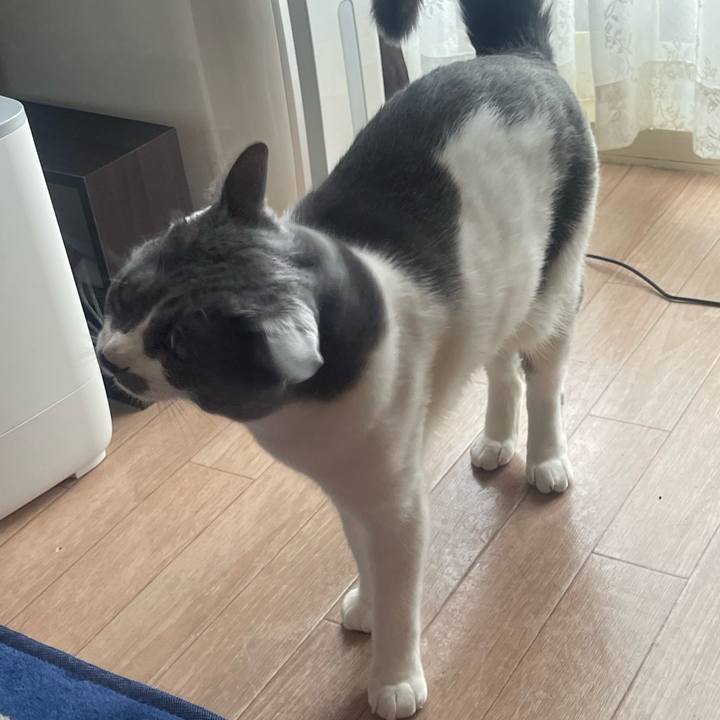 E19822ca dc4e 4677 ac72 e355e52cbb2f 1650596378110