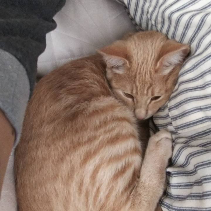 E1987390 627a 49cf a5ef 2787be888830 1546234758944