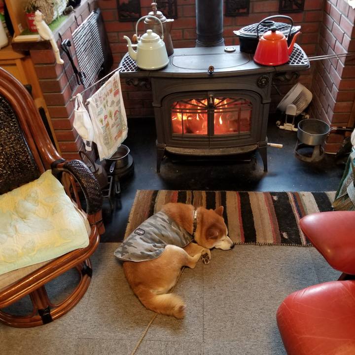 E1989312 5f7a 465e 8755 be9659e9b43a 1615591993160