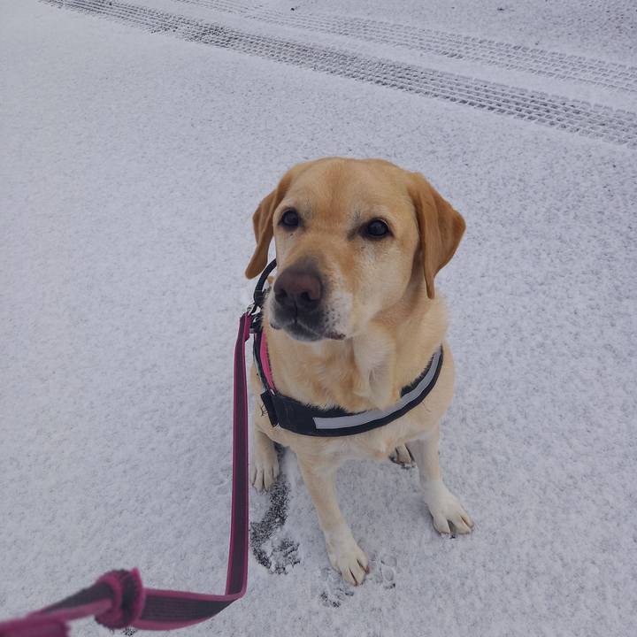 E198952f 7aed 4024 862a e848f93cd700 1610329692235