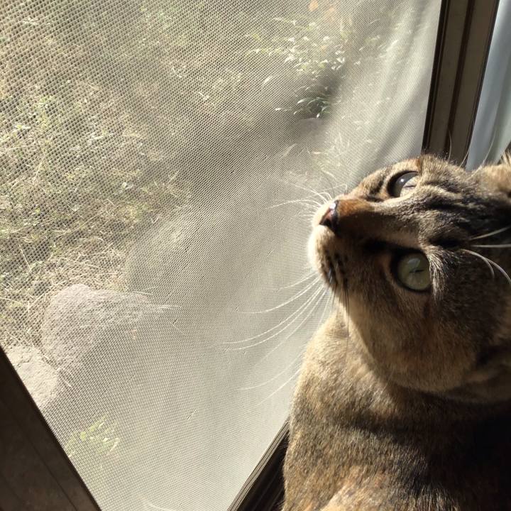 E198c8a3 51e1 4494 b5ec 6aed646edde8 1584231853336